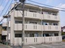 メイプルタウンの外観画像