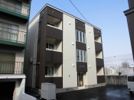 Phalaenopsis (ﾌｧﾚﾉﾌﾟｼｽ)の外観画像