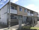 シャーメゾン南沖洲 B棟の外観画像