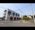 コリーの外観画像