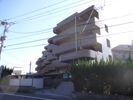 ゴールデンヒルズの外観画像