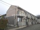 フレグランススズキの外観画像