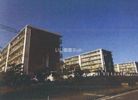 白橿町 Aマンションの外観画像