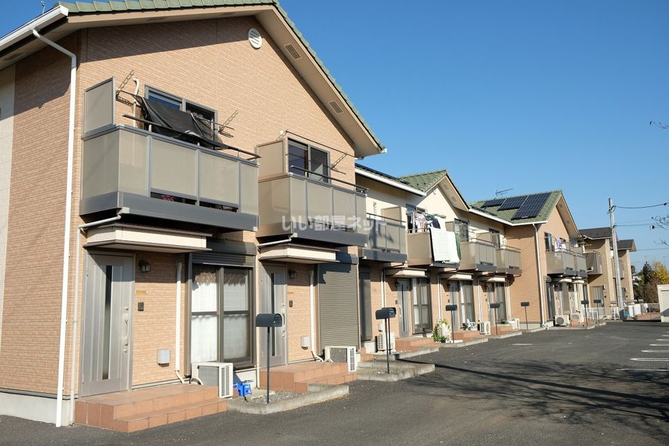 Saintpaulia(セントポーリア)の外観画像