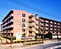 マロニエハイツ今泉の外観画像