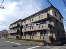 グレイス スクエア新涯 5 C棟の外観画像