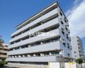 リバーサイド湘南(リバーサイドショウナン)の外観画像