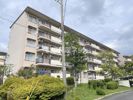 男山第四住宅311棟の外観画像