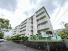 Aマンション3号棟の外観画像