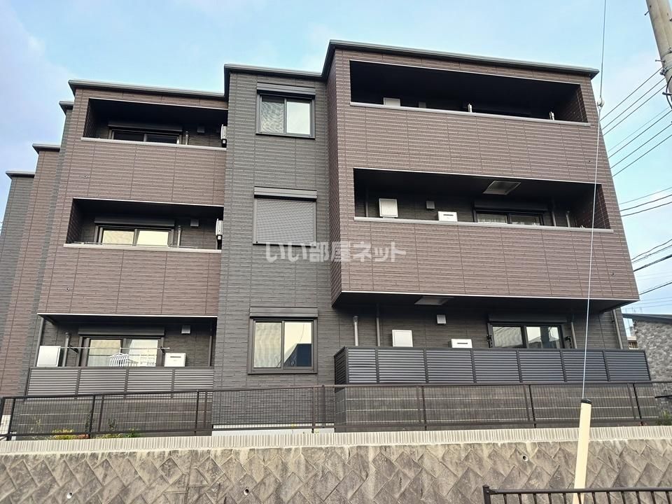 new paddy(ニューパディ) BELS認証の外観画像
