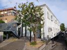 マンション 桜の外観画像
