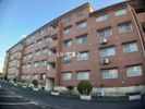 見川2丁目賃貸マンションの外観画像