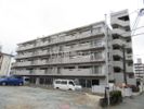 大産原田マンションの外観画像