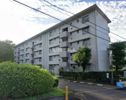 緑苑東団地 8号棟の外観画像