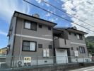 アンブレラトミナガ Cの外観画像