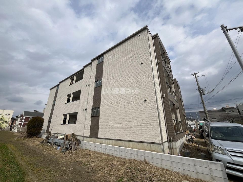 F asecia laniの外観画像