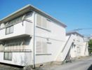 シティハイム セルティアⅡの外観画像