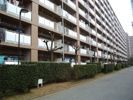 市川パークハウスB棟の外観画像
