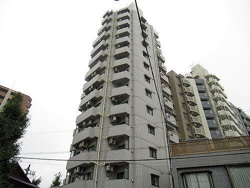 ライオンズプラザ白山の外観画像