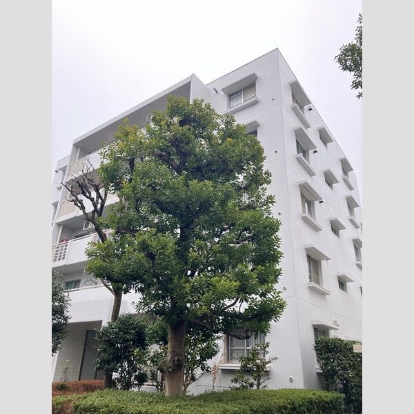 エステート上水本町6号棟の外観画像