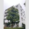 エステート上水本町6号棟の外観画像