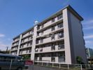 井堀南団地3棟の外観画像