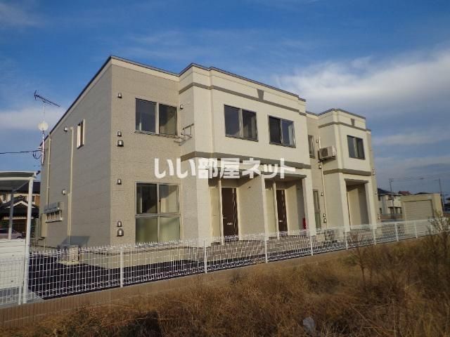 ルピナス(Lupinus)の外観画像