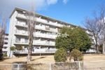 男山第3住宅209号棟の外観画像