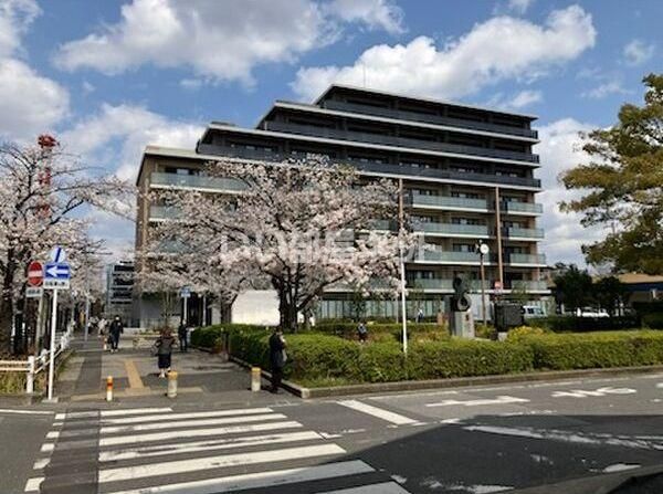 ソライエ新柏プレミストの外観画像