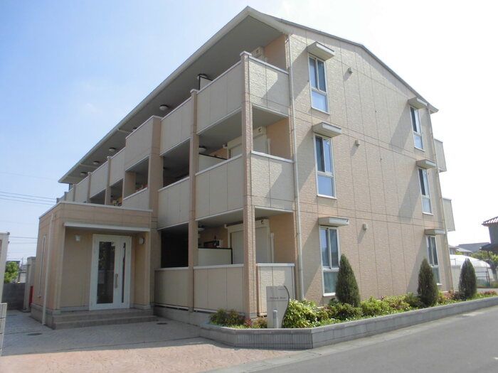 Miracle Bearの外観画像