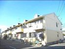 シャトレーSHIMIZU（シャトレーシミズ）の外観画像