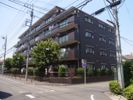 ドミールSの外観画像