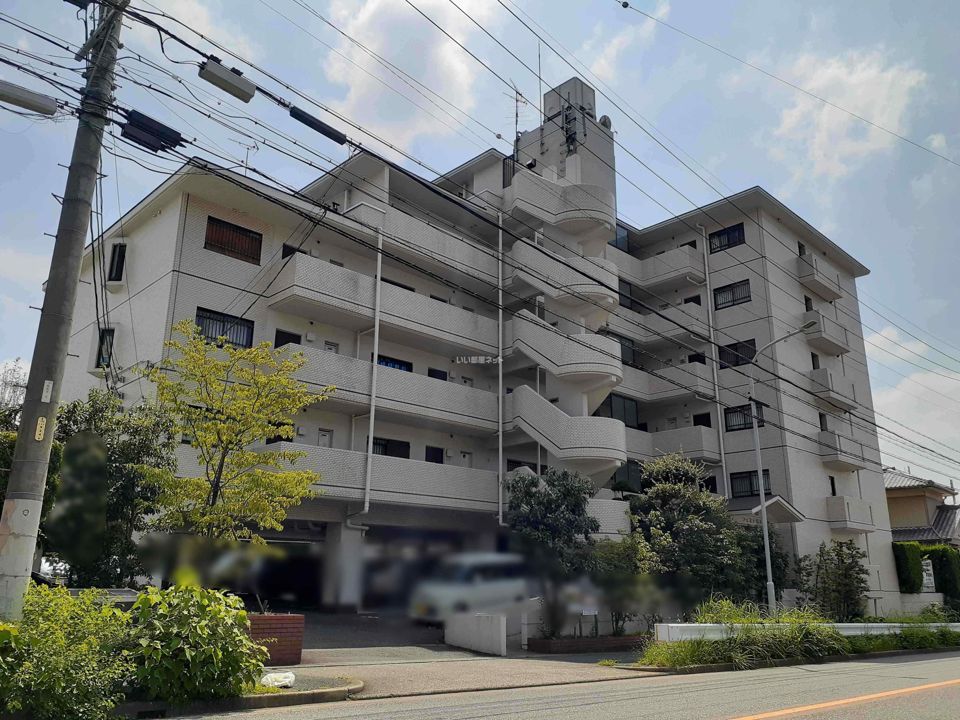 フェステ菊屋第6の外観画像