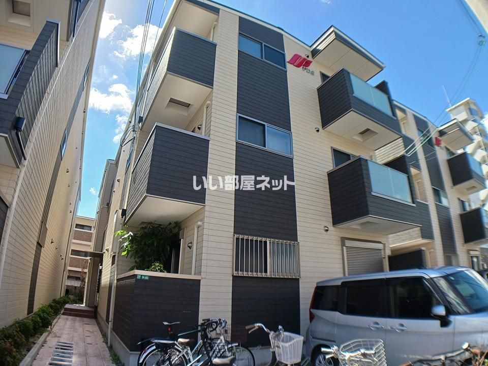 Fasecia themisの外観画像