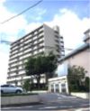 松戸竹ヶ花パークハウスの外観画像