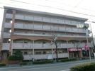 ハイネス植田の外観画像
