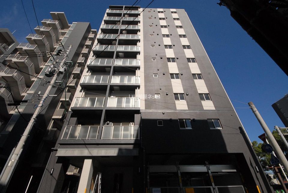 アムールM.36の外観画像