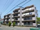 ベルローズ宮崎台の外観画像