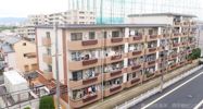 エバグリーン桂の外観画像