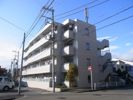 シティーコート矢向の外観画像