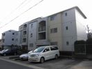 本通マンションの外観画像