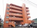 グリーントマトの外観画像