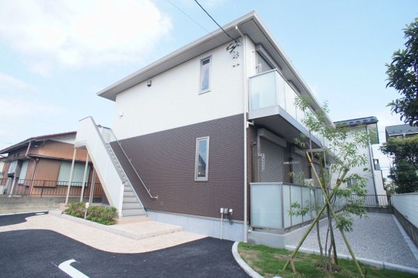 パラプルの外観画像
