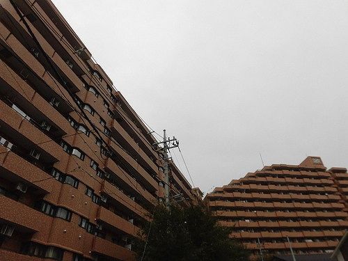ライオンズプラザ大宮の外観画像