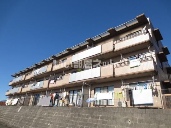 TAフラット桐の木の外観画像
