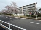 愛宕2丁目住宅の外観画像