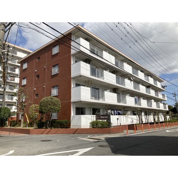 コープ野村半田壱号棟の外観画像