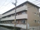 saint-fleurの外観画像