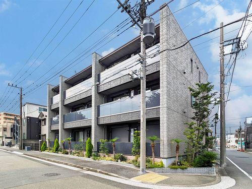 コリーナステラータの外観画像