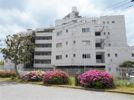 稲毛ブルースカイハイツの外観画像